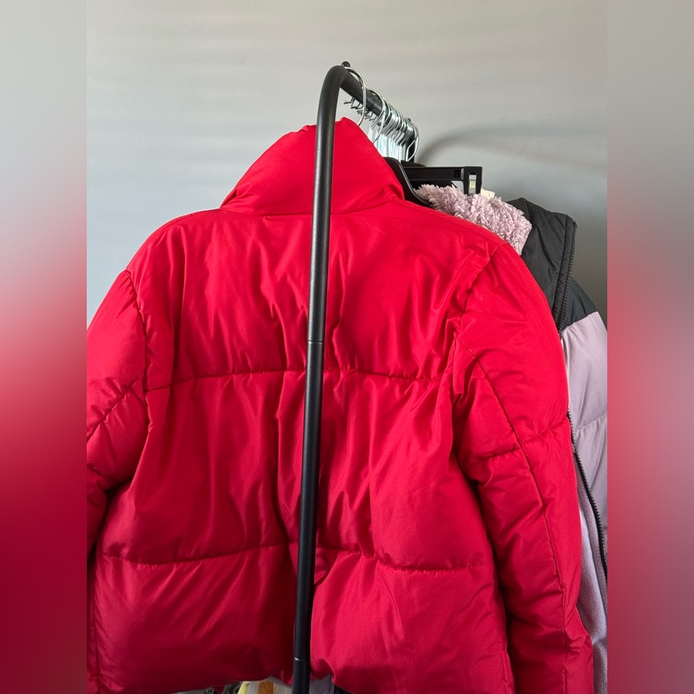 Red Puffer - image 3
